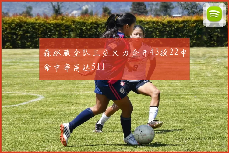 森林狼全队三分火力全开43投22中命中率高达511